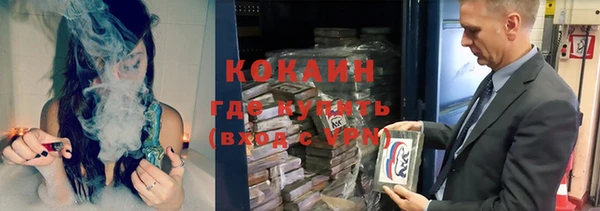 ешки Алексин