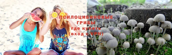 spice Алзамай