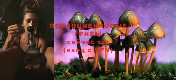 spice Алзамай