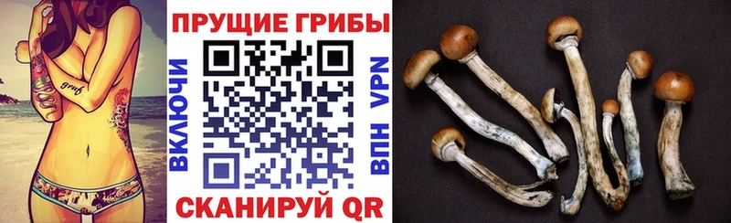 где найти наркотики  Неман  мега зеркало  Галлюциногенные грибы GOLDEN TEACHER 